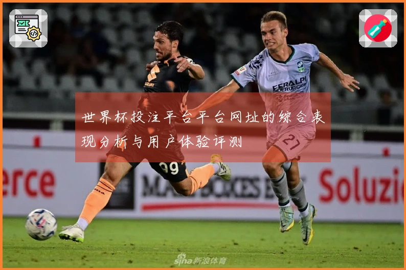 世界杯投注平台平台网址的综合表现分析与用户体验评测