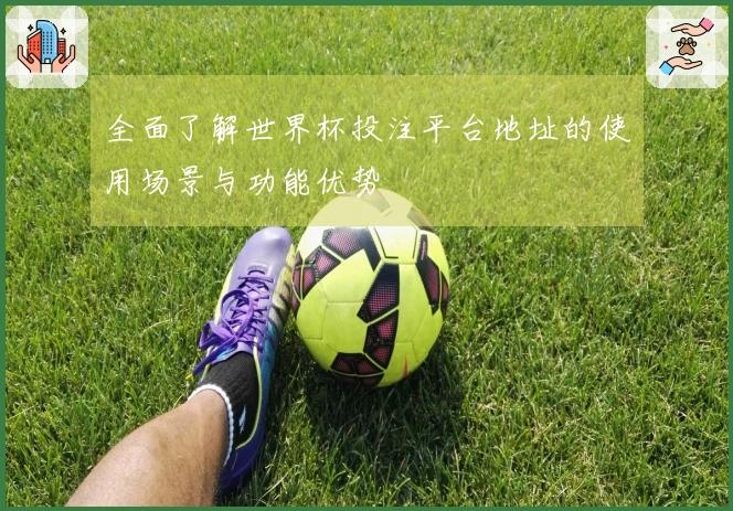 全面了解世界杯投注平台地址的使用场景与功能优势