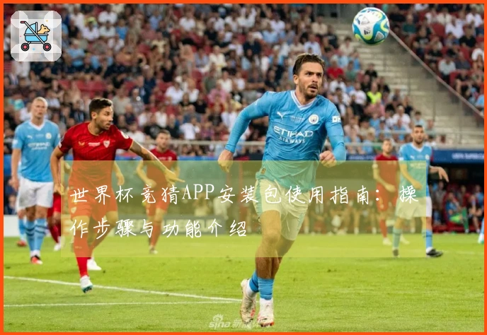 世界杯竞猜APP安装包使用指南：操作步骤与功能介绍