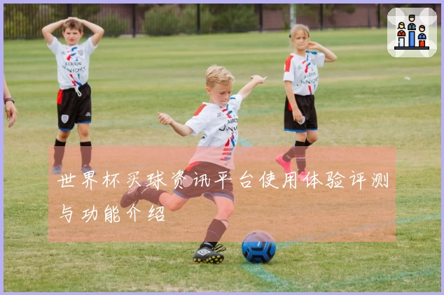 世界杯买球资讯平台使用体验评测与功能介绍
