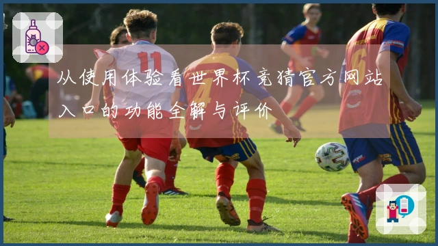 从使用体验看世界杯竞猜官方网站入口的功能全解与评价