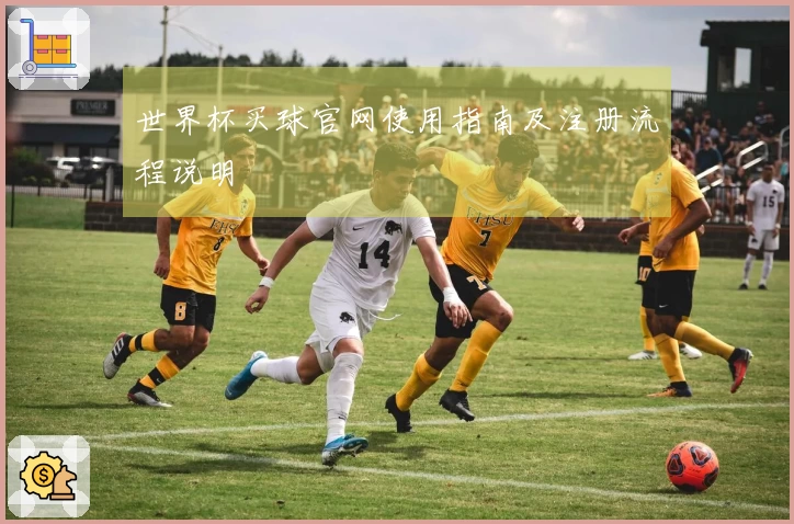 世界杯买球官网使用指南及注册流程说明