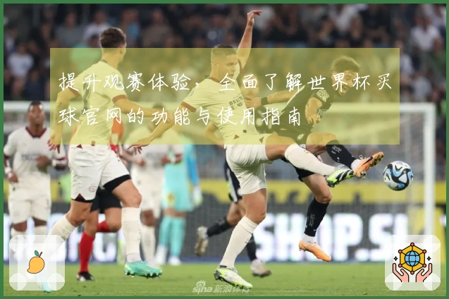提升观赛体验，全面了解世界杯买球官网的功能与使用指南