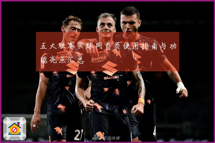 五大联赛买球网首页使用指南与功能亮点汇总