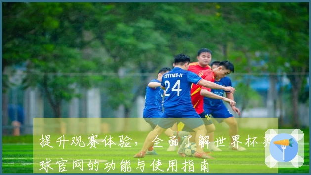 提升观赛体验，全面了解世界杯买球官网的功能与使用指南