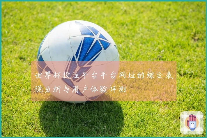 世界杯投注平台平台网址的综合表现分析与用户体验评测