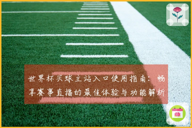 世界杯买球主站入口使用指南：畅享赛事直播的最佳体验与功能解析