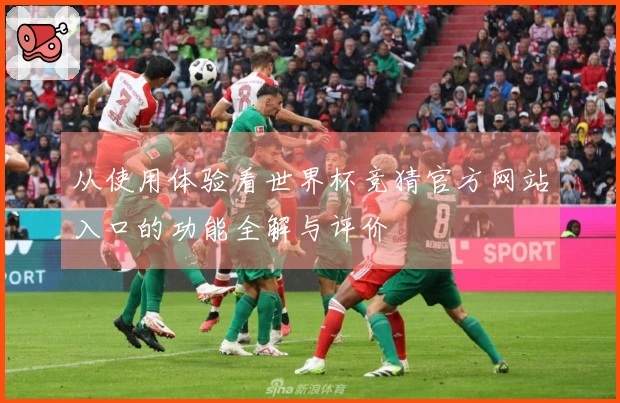 从使用体验看世界杯竞猜官方网站入口的功能全解与评价