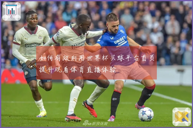 如何有效利用世界杯买球平台首页提升观看体育直播体验
