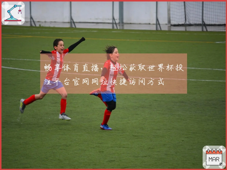 畅享体育直播，轻松获取世界杯投注平台官网网址快捷访问方式
